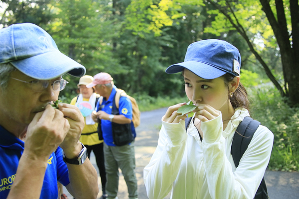 上山型温泉クアオルト