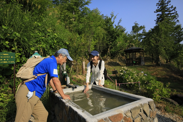 上山型温泉クアオルト