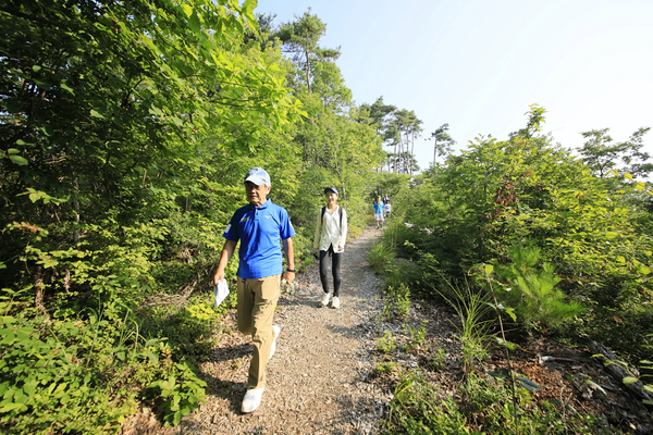 上山型温泉クアオルト