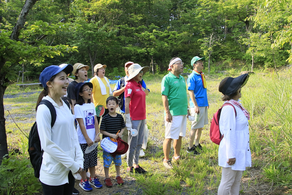 上山型温泉クアオルト