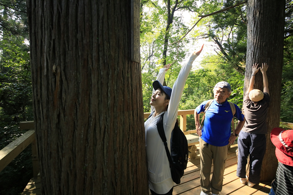 上山型温泉クアオルト