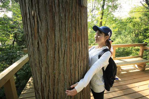 上山型温泉クアオルト